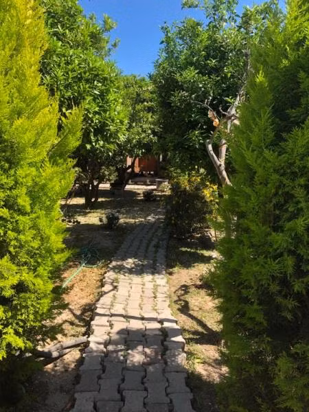 Oda Resmi