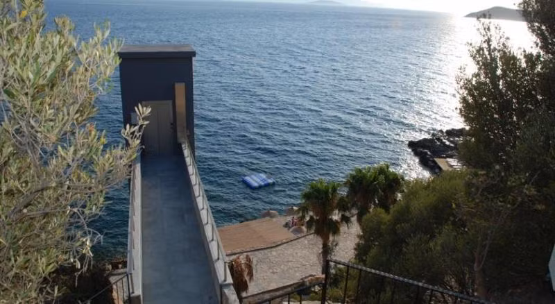 Vega Aparts Hotel - 1